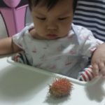 baby rambutan