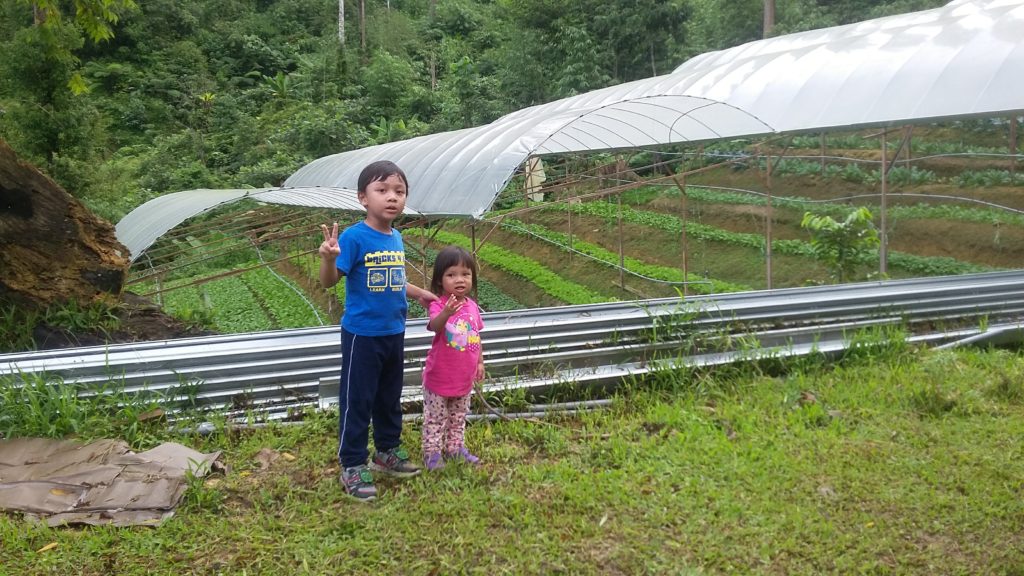 fathers organic farm batang kali genting review