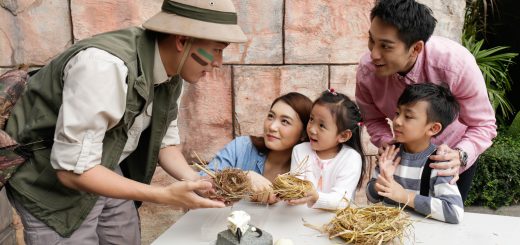 Ocean Park Hong Kong Animal Discovery Fest Marriott Hotel