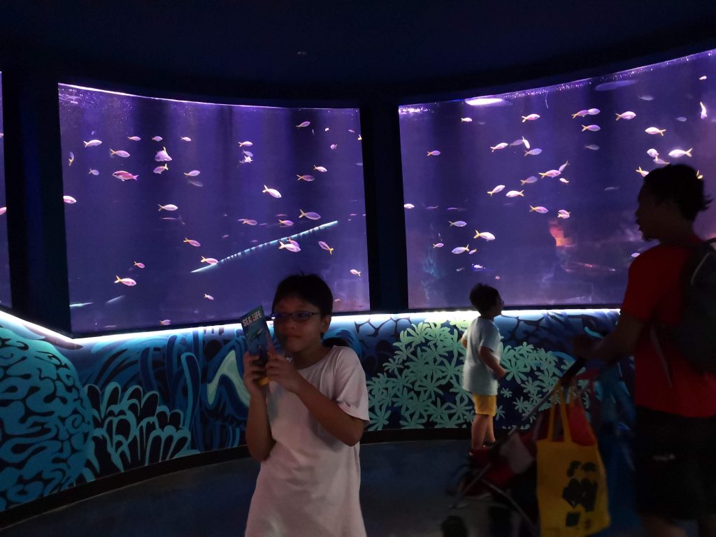 sea life malaysia legoland johor review