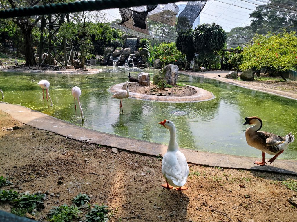 kl bird park 2019 review