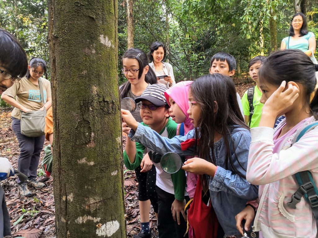 Decomposers Detritivores rimba ilmu young explorer universiti malaya