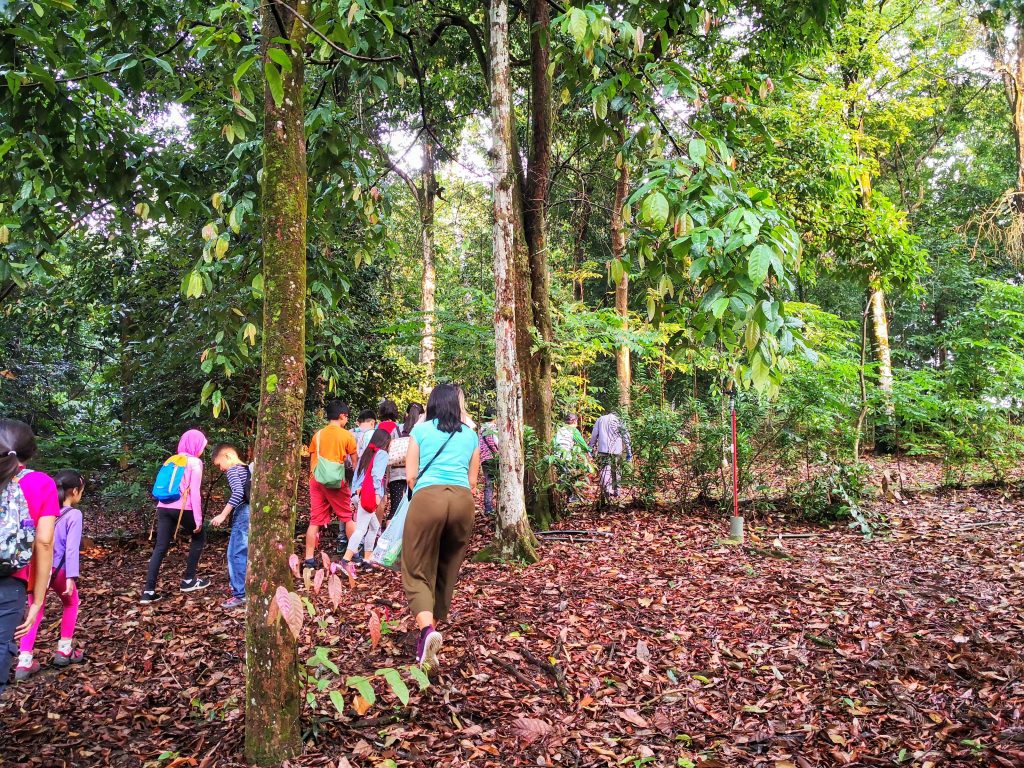 Decomposers Detritivores rimba ilmu young explorer universiti malaya