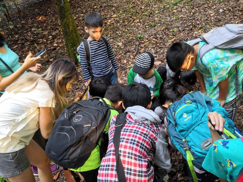 Decomposers Detritivores rimba ilmu young explorer universiti malaya