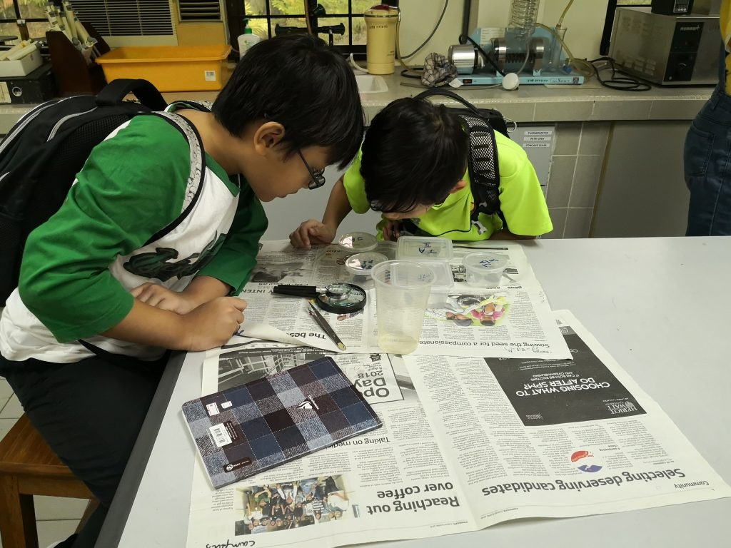 Decomposers Detritivores rimba ilmu young explorer universiti malaya