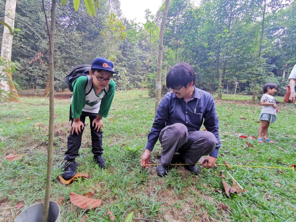 Decomposers Detritivores rimba ilmu young explorer universiti malaya