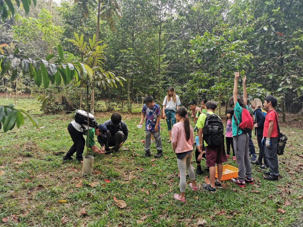 Decomposers Detritivores rimba ilmu young explorer universiti malaya