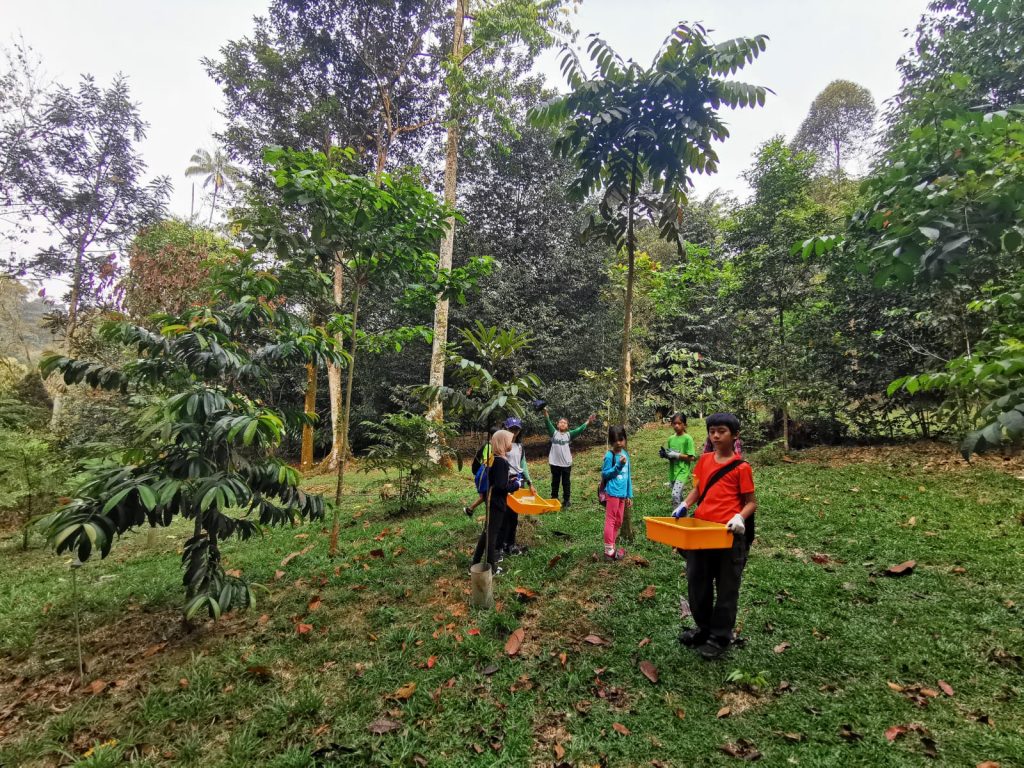 Decomposers Detritivores rimba ilmu young explorer universiti malaya