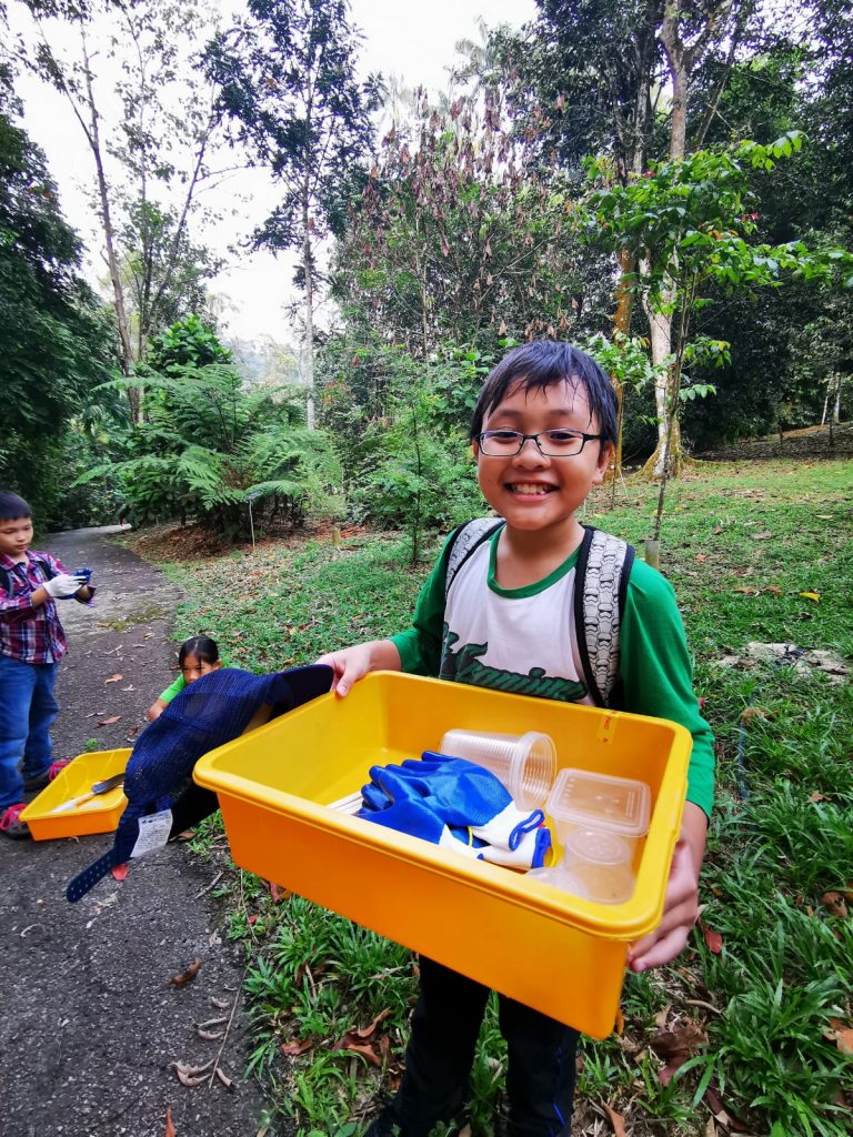 Decomposers Detritivores rimba ilmu young explorer universiti malaya