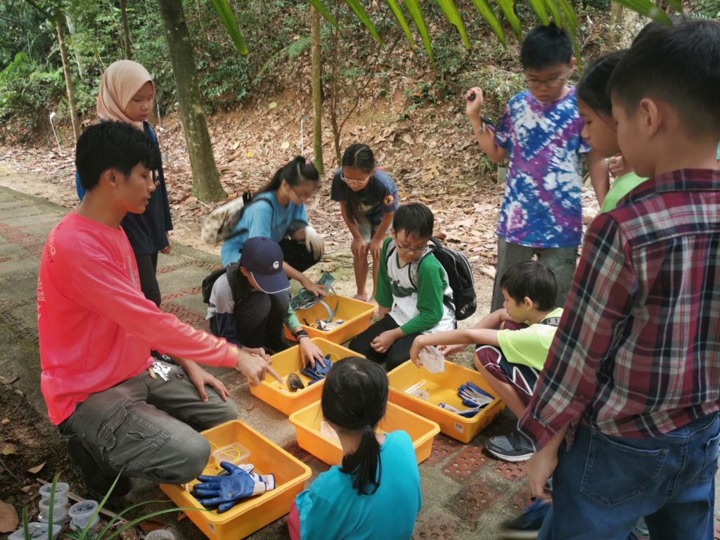 Decomposers Detritivores rimba ilmu young explorer universiti malaya