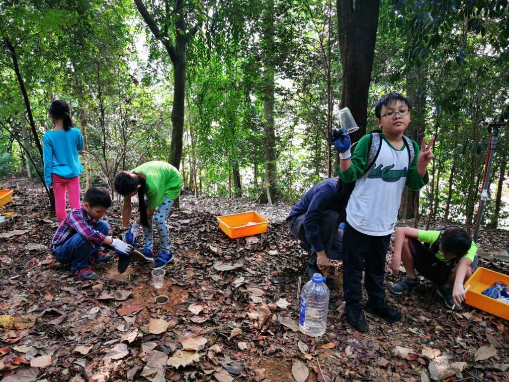 Decomposers Detritivores rimba ilmu young explorer universiti malaya